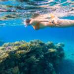 woman-snorkeling-above-coral-reef-v2